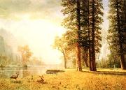 Albert Bierstadt Hetch Hetchy Valley china oil painting reproduction